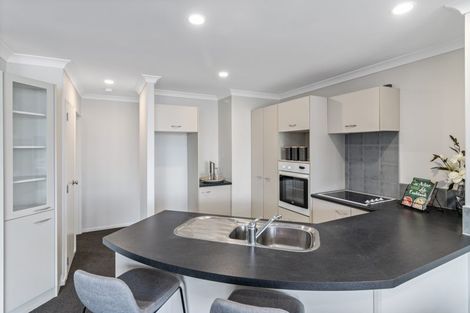 Photo of property in 438e Tristram Street, Whitiora, Hamilton, 3200