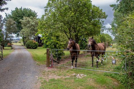 Photo of property in 64b Moumoukai Road, Hunua, Papakura, 2583