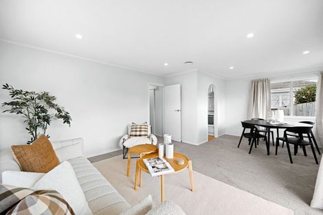 Photo of property in 49 Rimu Street, Maeroa, Hamilton, 3200