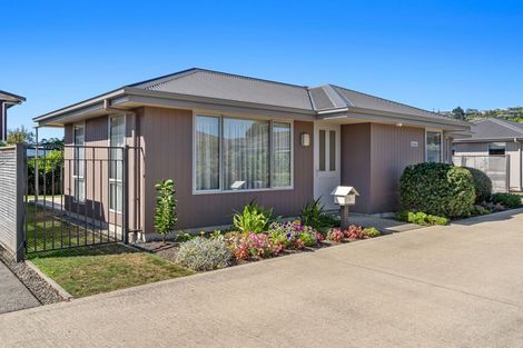Photo of property in 3 Holly Way, Tahunanui, Nelson, 7011