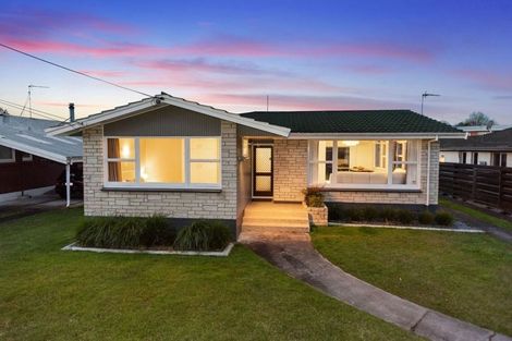 Photo of property in 21 Wake Street, Chartwell, Hamilton, 3210