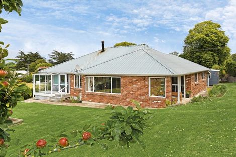 Photo of property in 21 Hill Road, Warrington, Waikouaiti, 9471