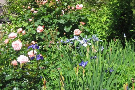 Photo of property in 5 Pye Road, Geraldine Downs, Geraldine, 7991