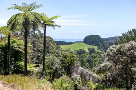 Photo of property in 1092 Driving Creek Road, Coromandel, 3583