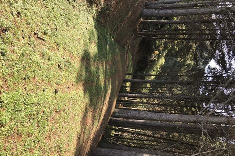 Photo of property in 75 Parakiore Road, Ngararatunua, Whangarei, 0176