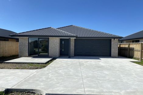 Photo of property in 11 Nathaniel Archer Street, Woodend, 7610