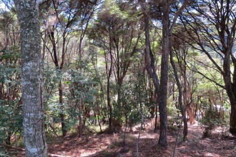 Photo of property in 395a Driving Creek Road, Coromandel, 3506