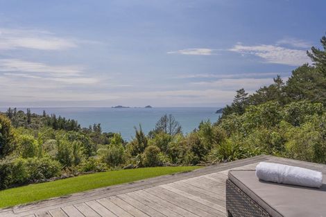Photo of property in 131 Pumpkin Hill Road, Pumpkin Hill, Whitianga, 3591
