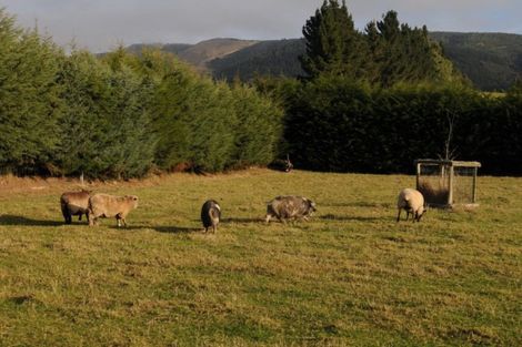 Photo of property in 9 Boyes Road, Waimate, 7978