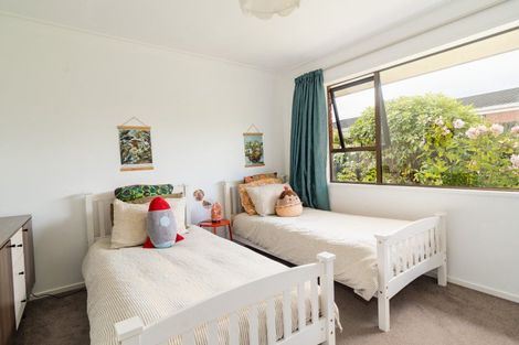 Photo of property in 19 Windsor Place, Mosgiel, 9024