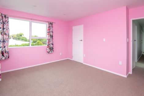 Photo of property in 45 Rata Street, Roslyn, Palmerston North, 4414