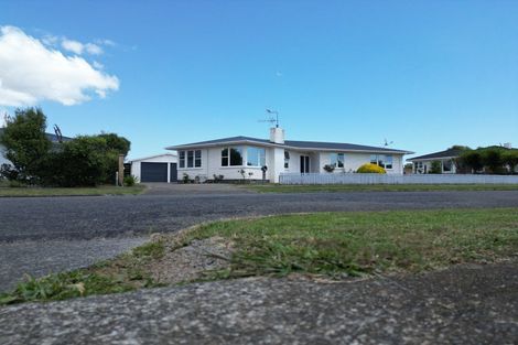 Photo of property in 16 Mark Perreau Place, Foxton, 4814