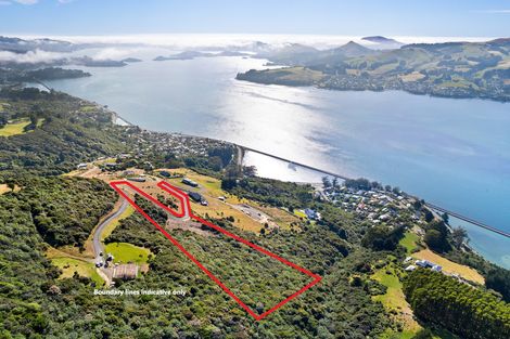 Photo of property in 65 Kakapo Street, Saint Leonards, Dunedin, 9022
