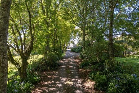 Photo of property in 72 Belk Road South, Omanawa, Tauranga, 3173