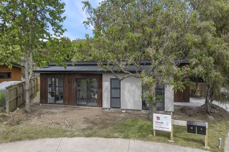 Photo of property in 9 Balou Place, Richmond, 7020