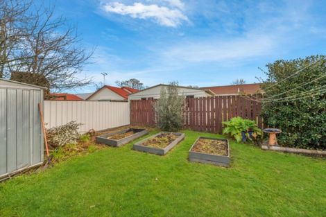 Photo of property in 19 Ashurst Avenue, Pukete, Hamilton, 3200