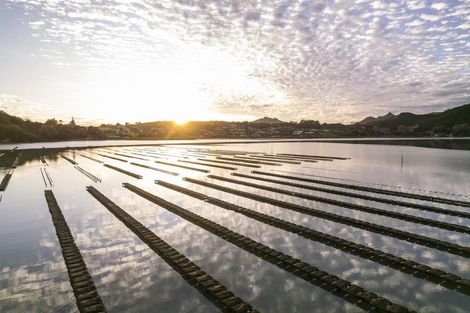 Photo of property in 50 Kiteone Road, Parua Bay, Whangarei, 0174