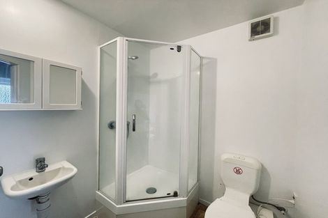 Photo of property in 12 Wellington Street, Hamilton East, Hamilton, 3216