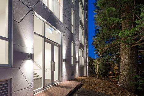 Photo of property in 106/11 Akepiro Street, Mount Eden, Auckland, 1024