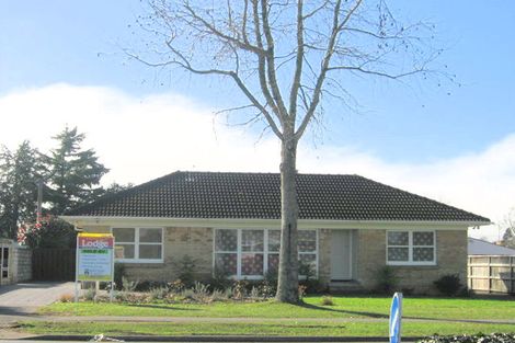 Photo of property in 186 Hukanui Road, Chartwell, Hamilton, 3210