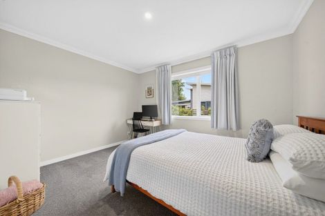 Photo of property in 57 Daniell Street, Solway, Masterton, 5810