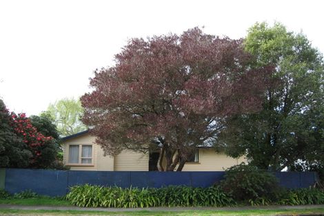 Photo of property in 71 Lipscombe Crescent, Havelock North, 4130