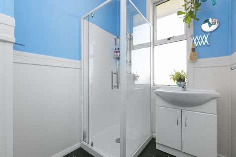 Photo of property in 20 Barclay Street, North East Valley, Dunedin, 9010