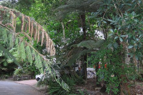 Photo of property in 26 Pluto Place, Beach Haven, Auckland, 0626