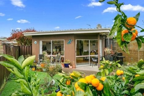 Photo of property in 302 Elizabeth Avenue, Te Awamutu, 3800