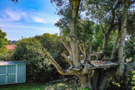 Photo of property in 130a Harbour Road, Ohope, 3121