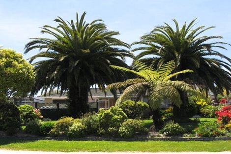 Photo of property in 5 Ballance Street, Westport, 7825