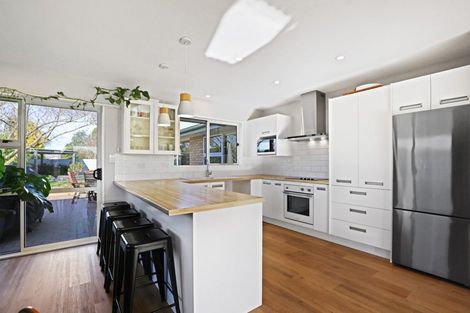 Photo of property in 15 Hight Place, Tinwald, Ashburton, 7700