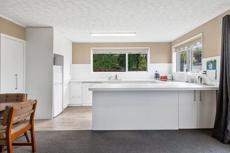 Photo of property in 18 Argyle Street, Mornington, Dunedin, 9011