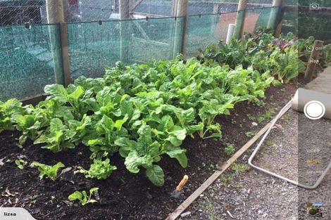 Photo of property in 2253 State Highway 16, Helensville, 0875