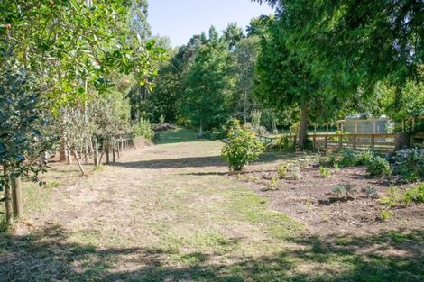 Photo of property in 431 Scotsman Valley Road, Tauwhare, Morrinsville, 3371