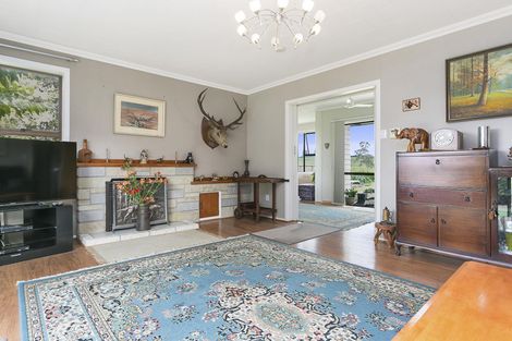 Photo of property in 255 Old Taupo Road, Putaruru, 3481