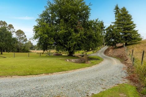 Photo of property in 84 Cover Street, Lumsden, 9730