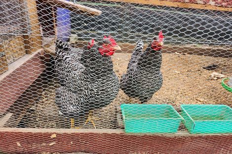 Photo of property in 20 Waimarei Avenue, Paeroa, 3600