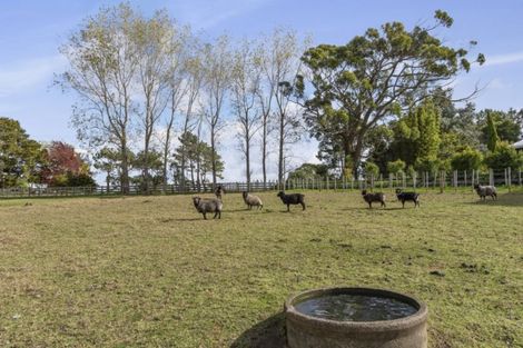 Photo of property in 115 Glenmore Road, Coatesville, Albany, 0793