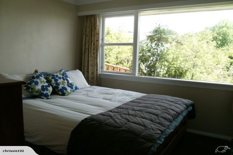 Photo of property in 72 Wilson Road, Balclutha, 9230