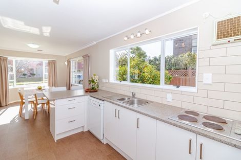 Photo of property in 1 Collier Place, Saint Johns Hill, Whanganui, 4501