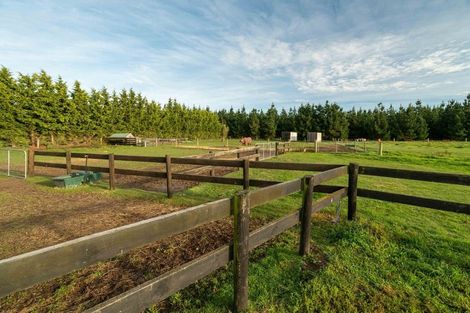 Photo of property in 237 Depot Road, Burnt Hill, Oxford, 7495