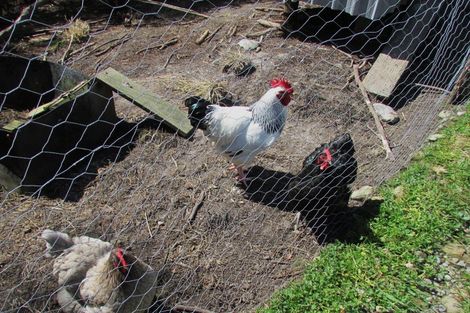 Photo of property in 1712 State Highway 7, Arnold Valley, Dobson, 7872