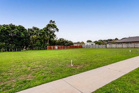Photo of property in 6 Kopiri Place, Spotswood, 4310