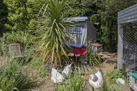 Photo of property in 31 Rosella Grove, Waimauku, 0812