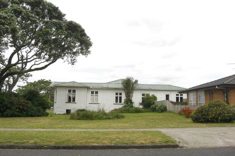 Photo of property in 17 Albert Street, Pukekohe, 2120