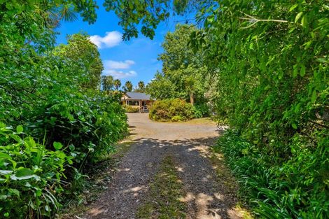Photo of property in 119 Shelly Beach Road, Shelly Beach, Helensville, 0874