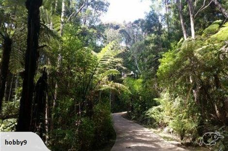 Photo of property in 19 Hobson Road, Lucas Heights, Auckland, 0632