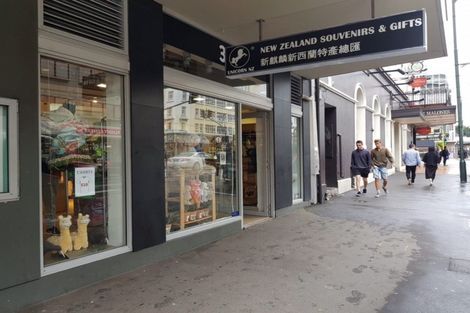 Photo of property in Bellagio Apartments, 39 Taranaki Street, Te Aro, Wellington, 6011