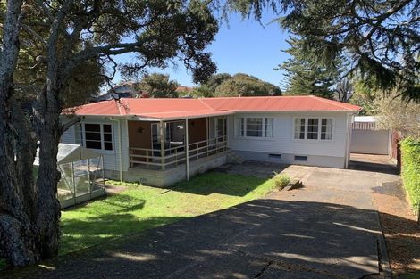 Photo of property in 29 Wattle Street, New Lynn, Auckland, 0600